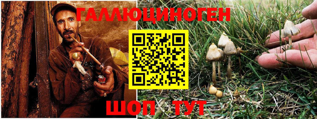 Псилоцибиновые грибы Cubensis  Вход с VPN  Псилоцибиновые грибы GOLDEN TEACHER  Иваново 