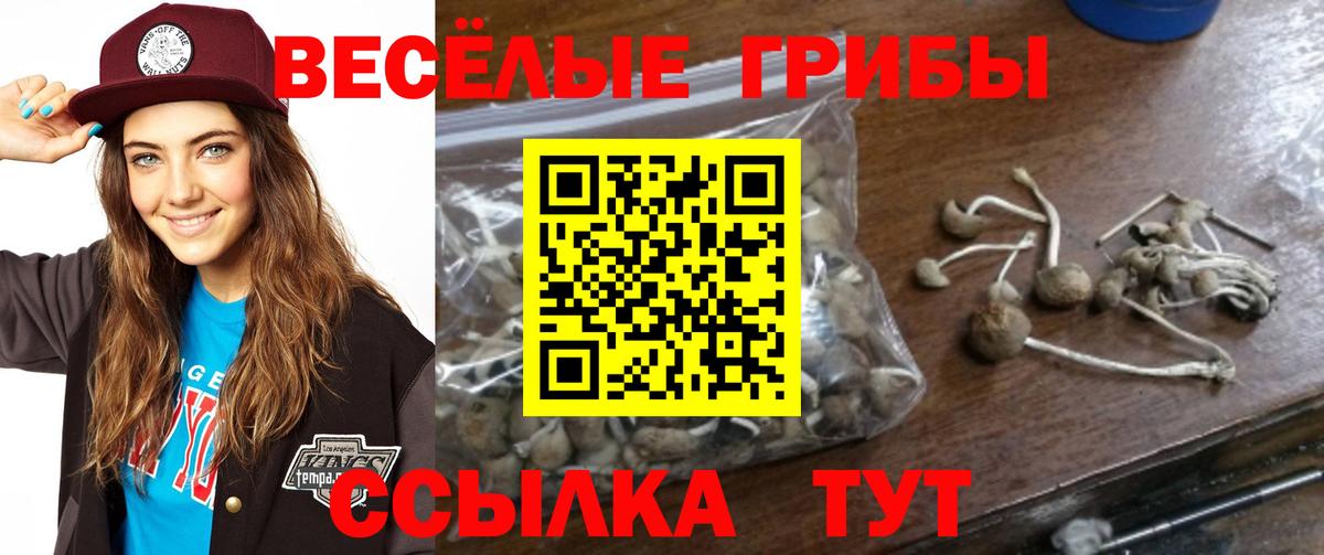 Галлюциногенные грибы Psilocybe Иваново